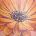 Tattoos - Daisy on the wrist - 3.5 inches -1.5 Hours - 33873